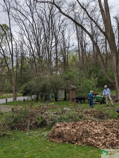 Mother Archie's Cleanup